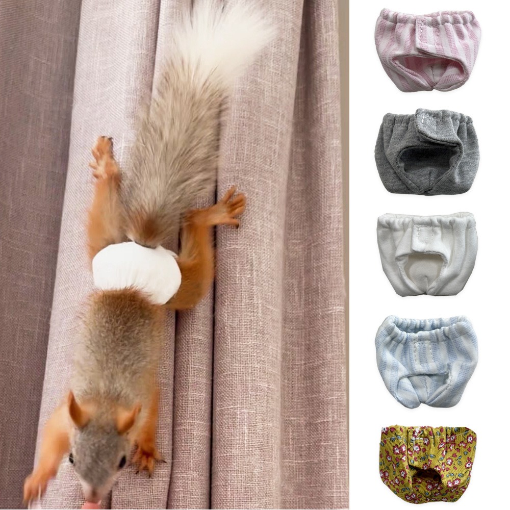 吸収性のあるリス用おむつ、漏れ防止、通気性のあるペット用生理 - Period Panty Absorbent のレビューと価格